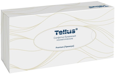 Салфетки косметические Торк Tellus, двухслойные 19х20,8 см, 100 листов в упаковке, 21 упаковок в коробке